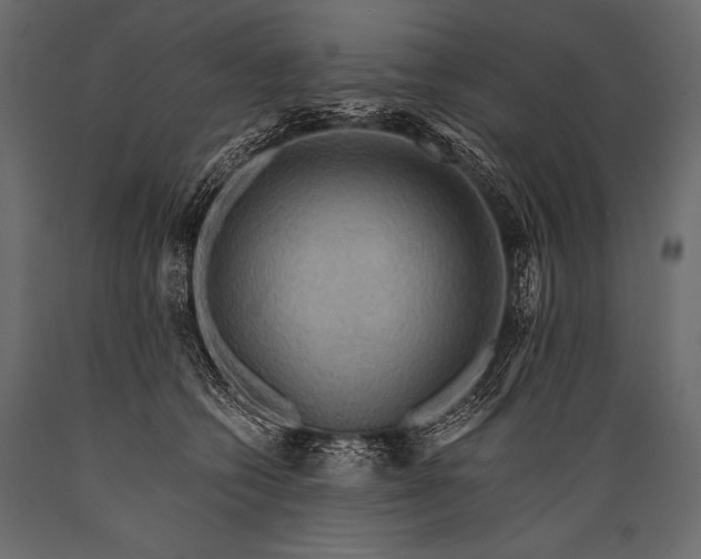 X0000088860562200706291520