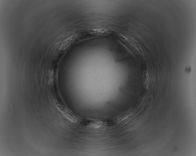 X0000088860563200706291520