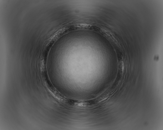 X0000088860564200706291520