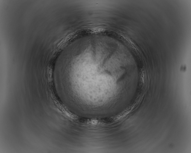 X0000088860565200706291520