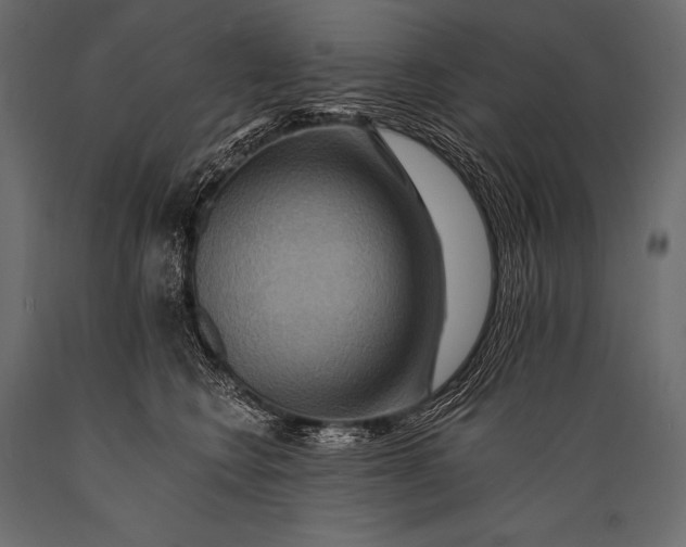 X0000088860566200706291520