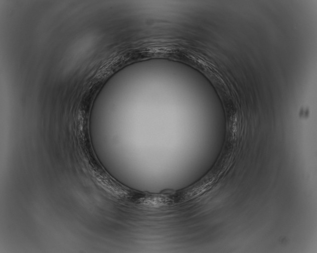 X0000088860567200706291520