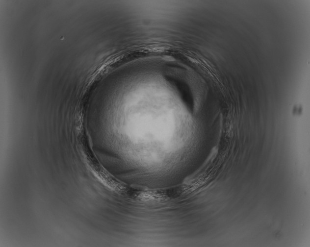 X0000088860568200706291520