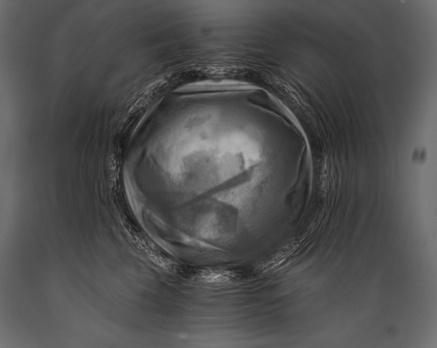 X0000088860569200706291520