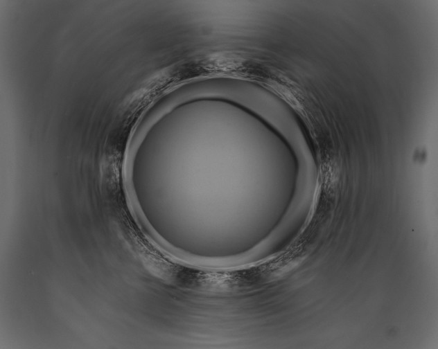 X0000088860570200706291520