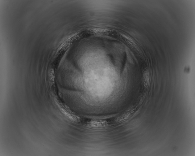 X0000088860571200706291520