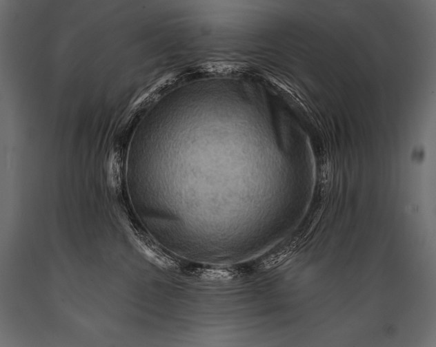 X0000088860572200706291520