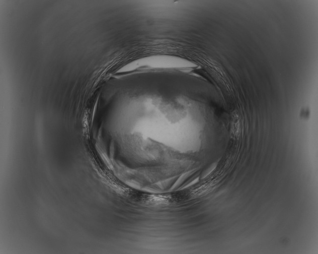 X0000088860573200706291520