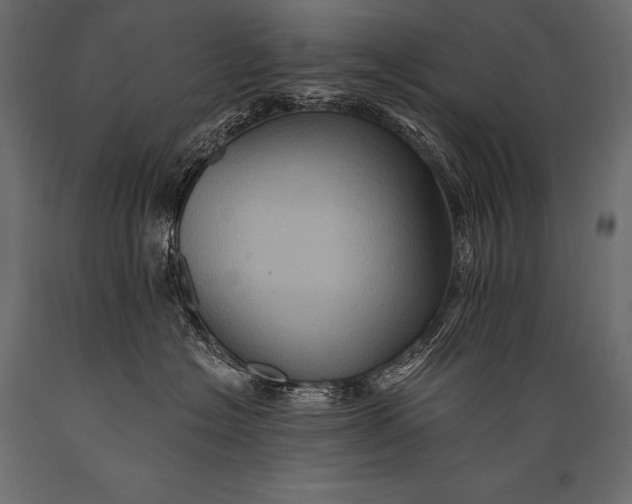 X0000088860574200706291520