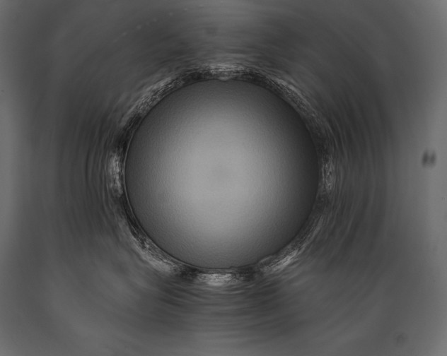 X0000088860575200706291520