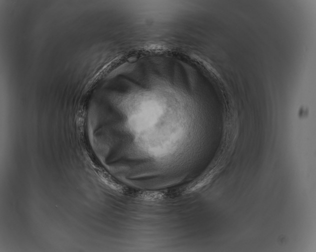 X0000088860576200706291520