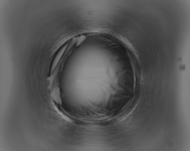 X0000088860577200706291520