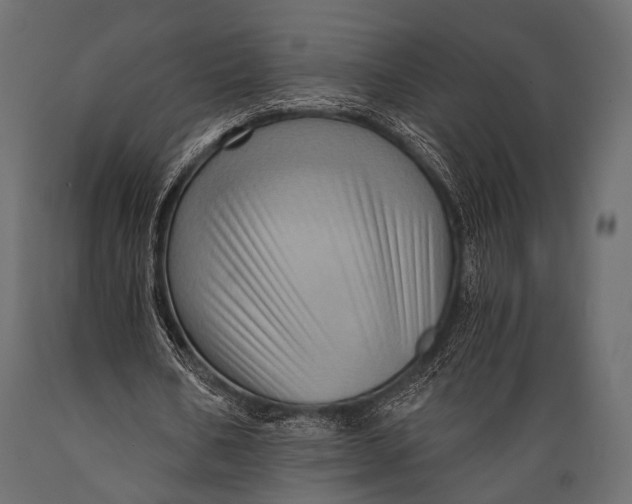 X0000088860578200706291520