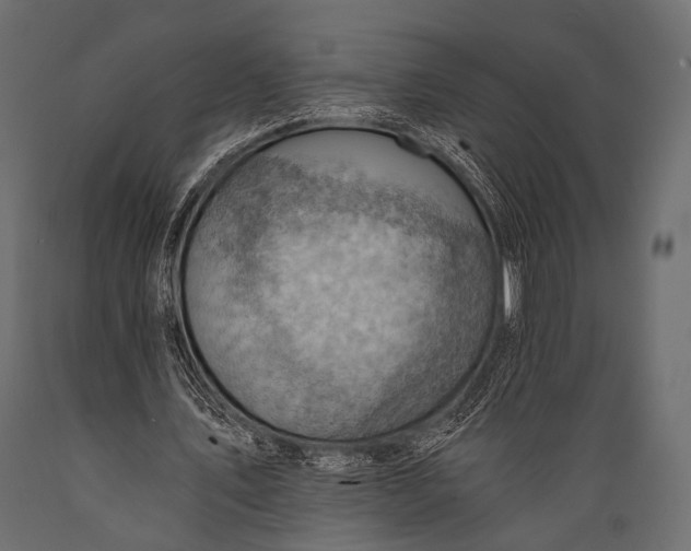 X0000088860579200706291520