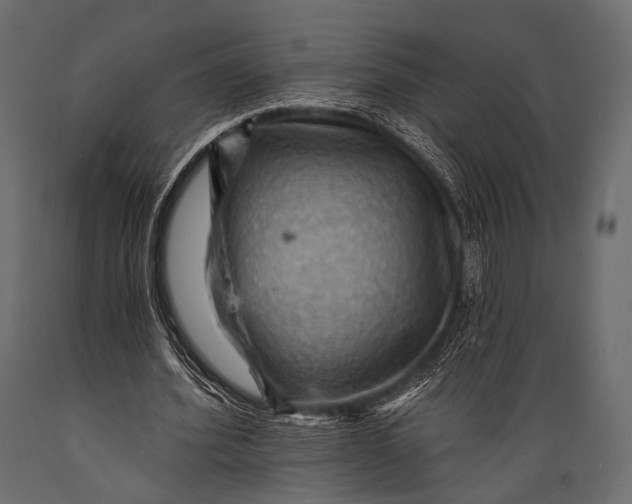 X0000088860580200706291520