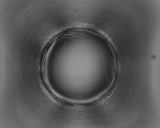 X0000088860581200706291520