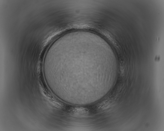 X0000088860583200706291520