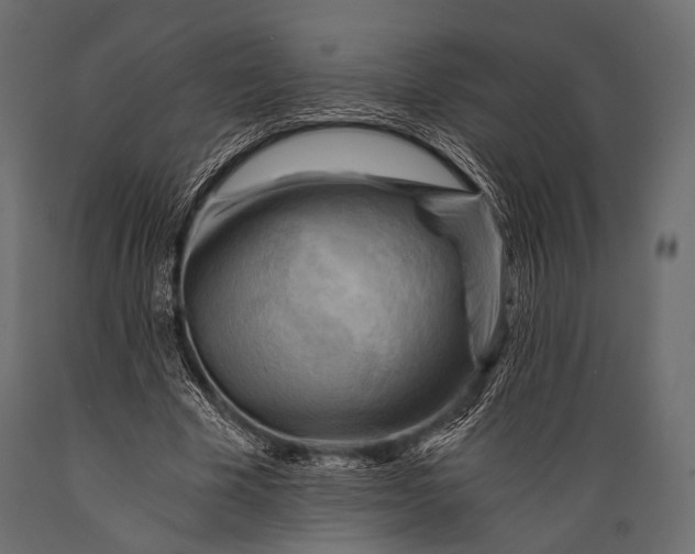 X0000088860585200706291520