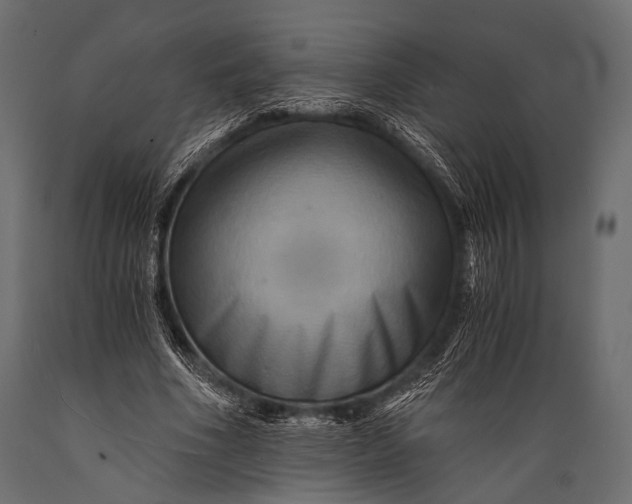 X0000088860586200706291520