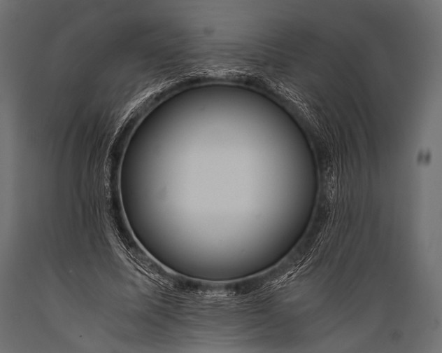 X0000088860587200706291520