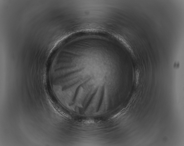 X0000088860588200706291520