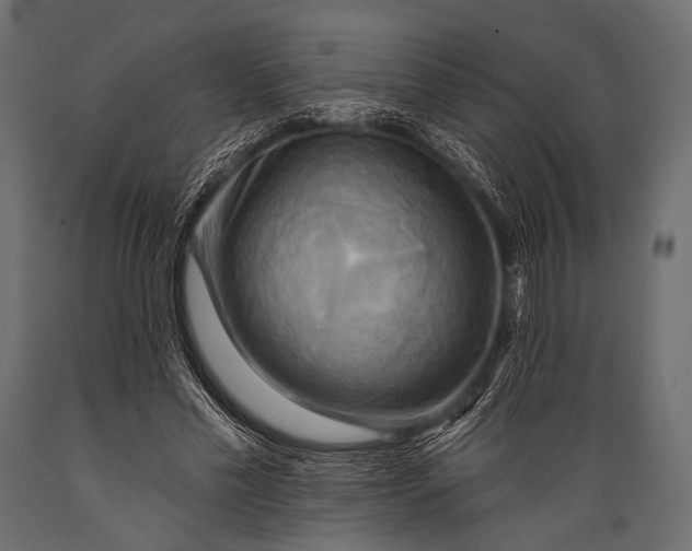 X0000088860589200706291520