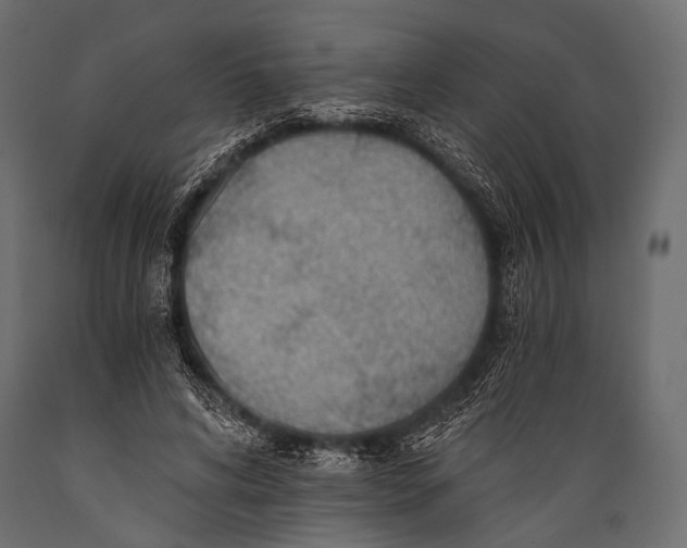 X0000088860592200706291519