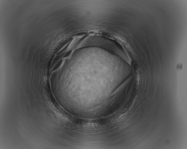 X0000088860593200706291519