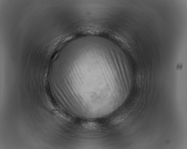 X0000088860594200706291519