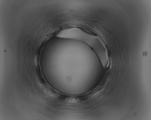 X0000088860597200706291519