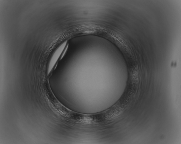 X0000088860598200706291519