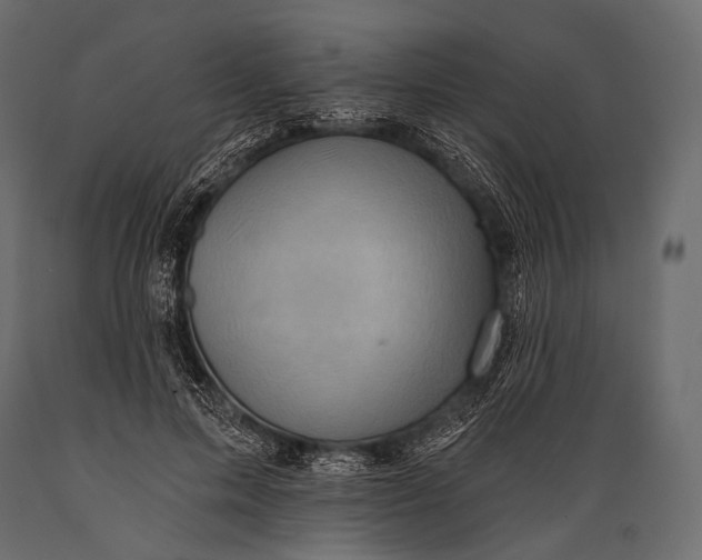 X0000088860599200706291519