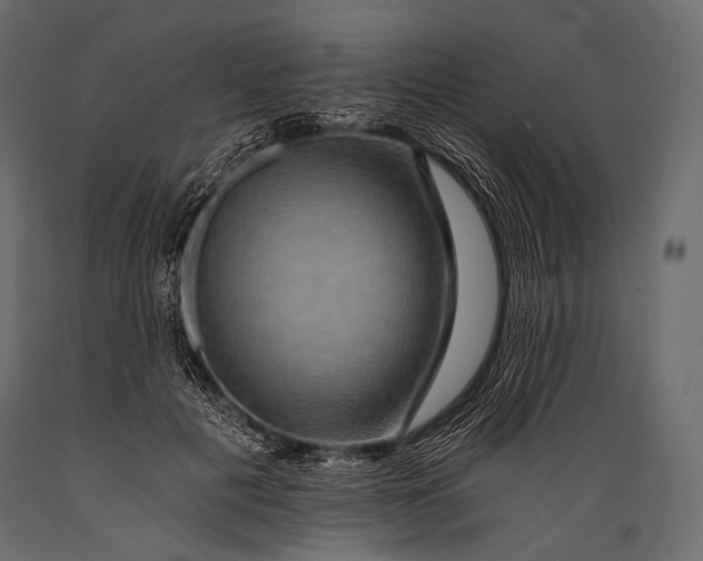 X0000088860601200706291519