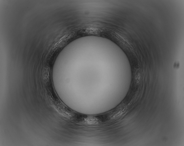 X0000088860603200706291519