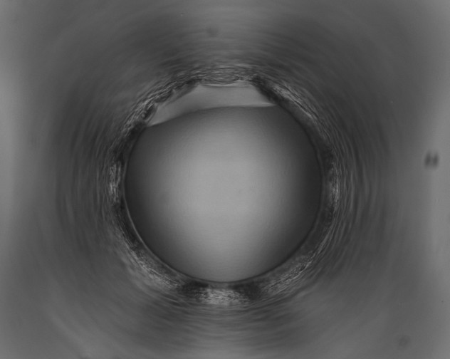 X0000088860605200706291519