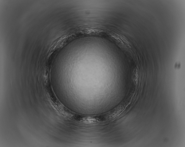 X0000088860607200706291519