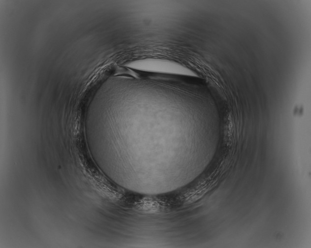 X0000088860608200706291519