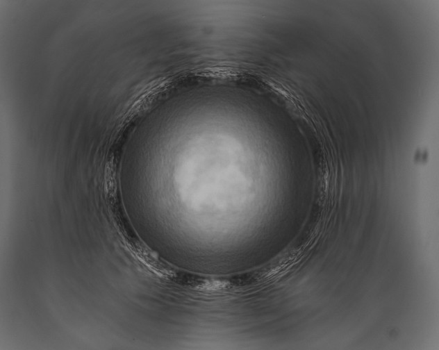 X0000088860609200706291519