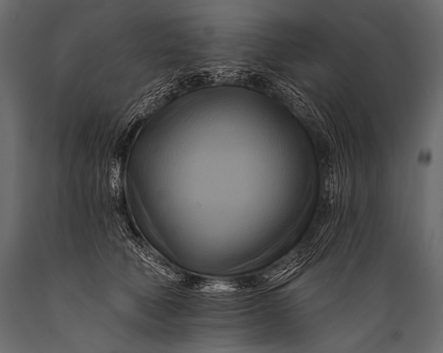 X0000088860610200706291519