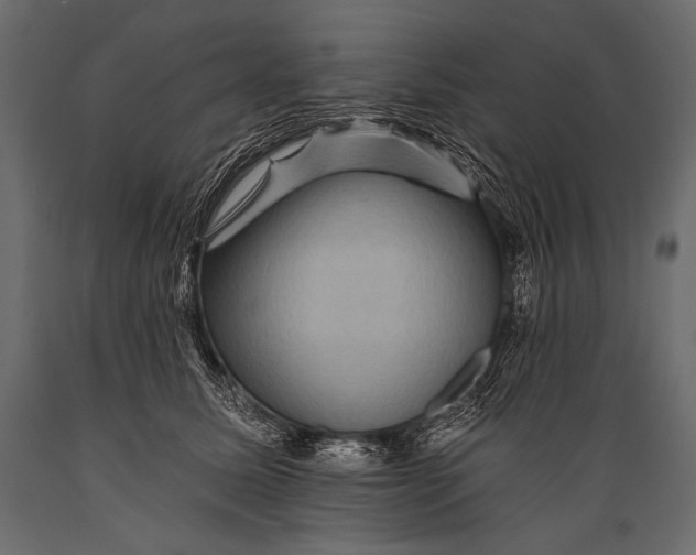 X0000088860611200706291519