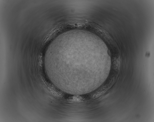 X0000088860612200706291519