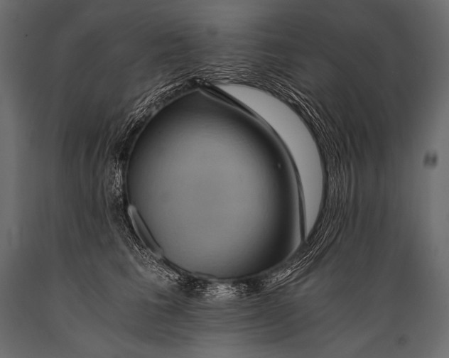 X0000088860613200706291519