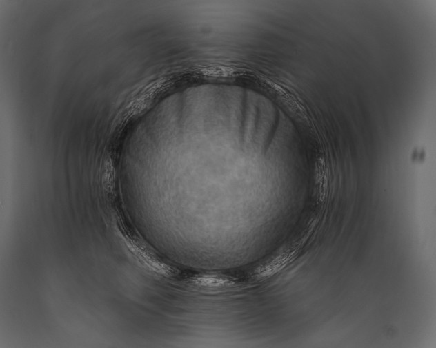 X0000088860614200706291519