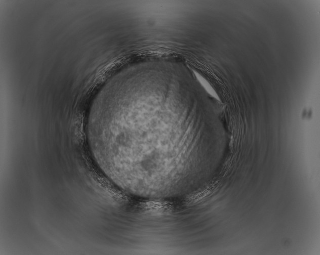 X0000088860615200706291519