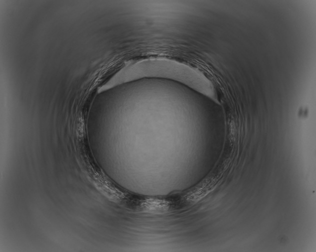 X0000088860617200706291519