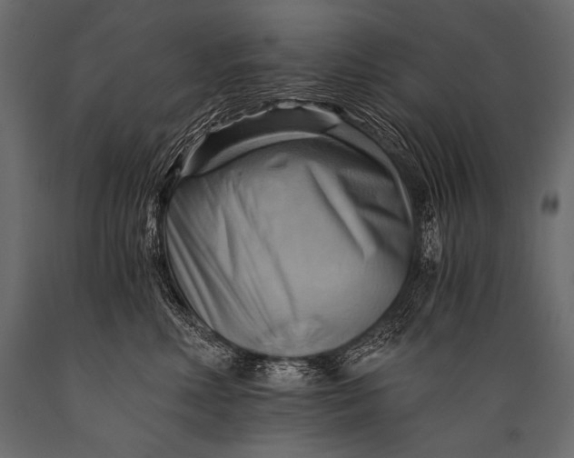 X0000088860618200706291519