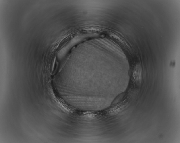 X0000088860620200706291519