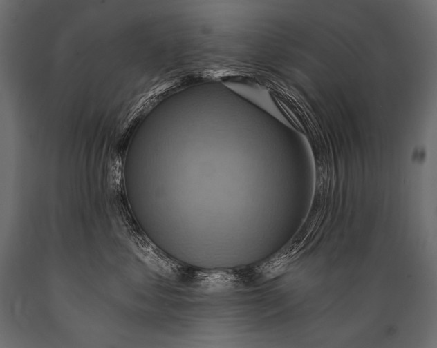 X0000088860621200706291519