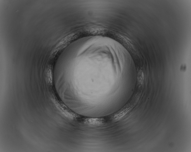 X0000088860622200706291519