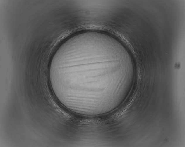 X0000088860625200706291518
